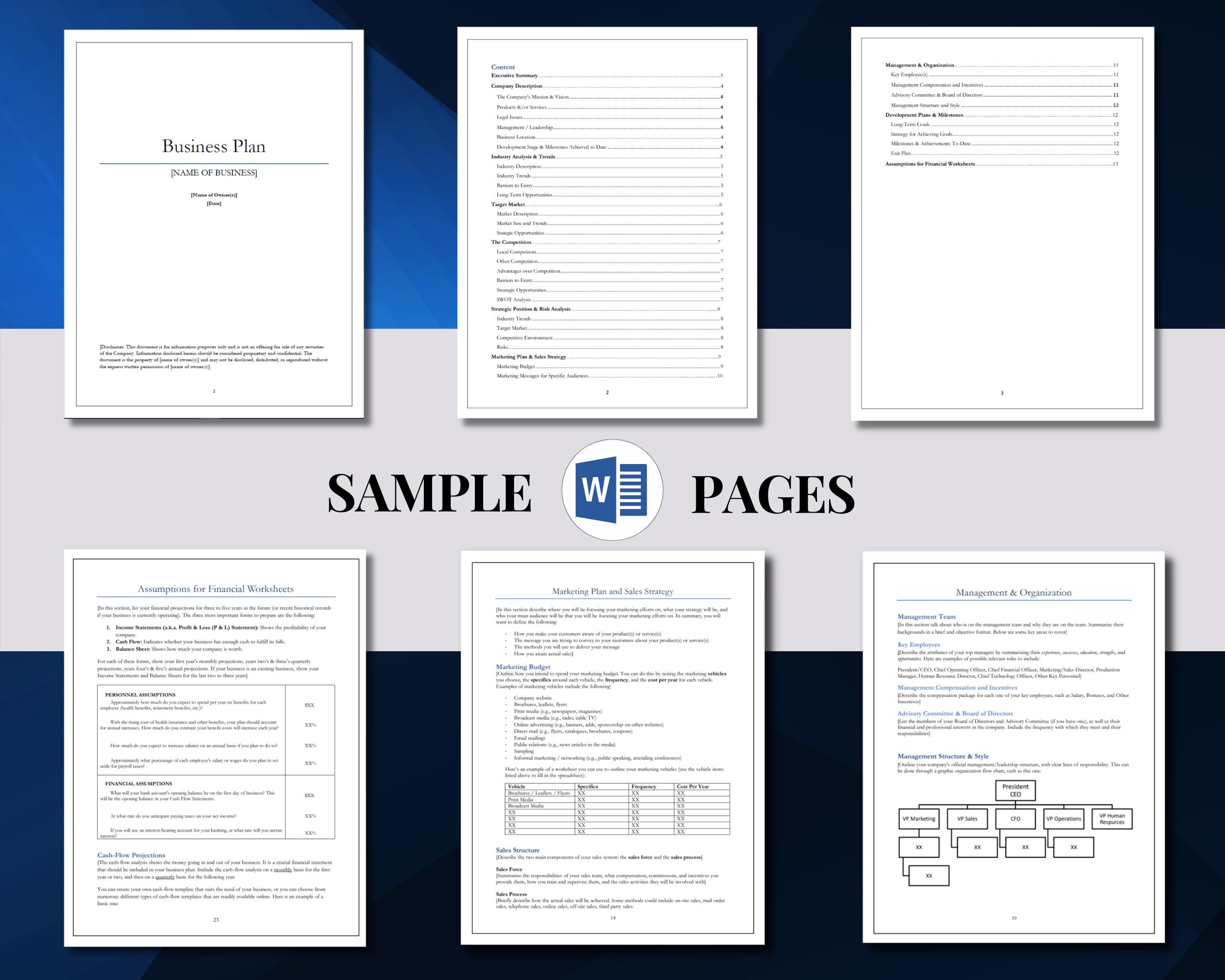 Summary Business Plan Template | Editable in MS Word & Google Docs ...