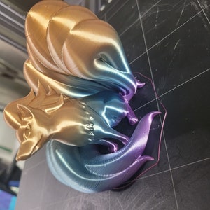 Ninetails display