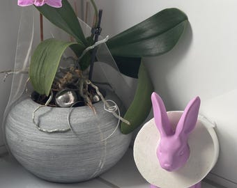 Toiletrolhouder &quot;Floppy&quot; Paashaas badkamer, toiletrolhouder WC, gastentoilet, reserverolhouder, decoratie, verjaardagscadeau, Pasen