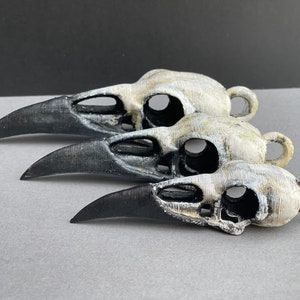 Könnte beinhalten: Drei schwarze und weiße Vogelschädel-Anhänger, jeder in einer anderen Größe. Die Schädel sind aus weißem Material gefertigt und haben schwarze Details. Die Anhänger haben oben eine Schlaufe zum Aufhängen.