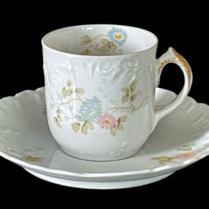 Taza y platillo de porcelana austriaca antigua para café expreso – Bawo and Dotter Carlsbad Austria