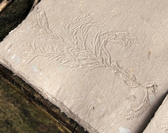 1 sheet of A4 handmade paper water marked with leaf or pine branch in light brown, 100% recycled, mix GSM, raw edges, soft textured, Ivory