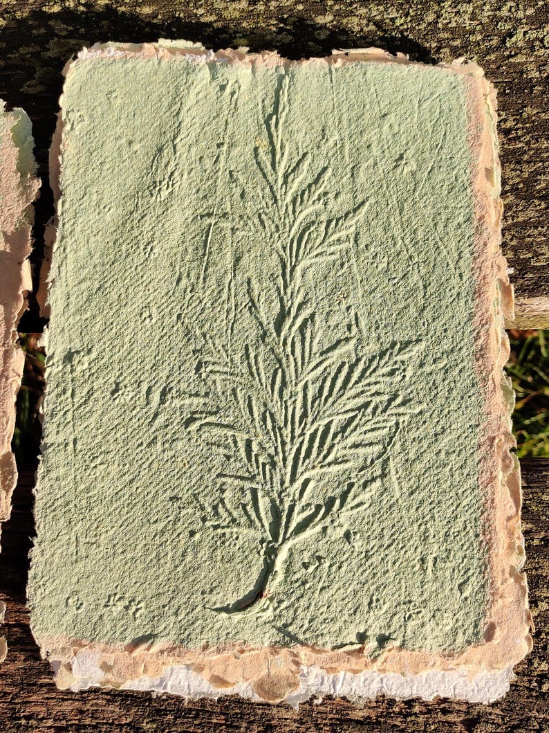 May include: Handmade paper with a pressed botanical design. The paper has a textured, light green surface with a detailed imprint of a fern-like plant. The edges are rough and bordered with a lighter, natural tone.