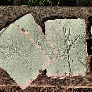 May include: Handmade paper sheets with embossed botanical designs. The paper has a textured surface and a light green color with pink edges. The botanical designs include detailed plant and leaf impressions. The sheets are arranged on a weathered wooden surface.