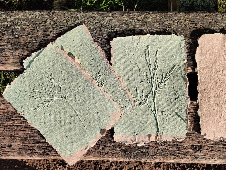 May include: Handmade paper sheets with embossed botanical designs. The paper has a textured surface and a light green color with pink edges. The botanical designs include detailed plant and leaf impressions. The sheets are arranged on a weathered wooden surface.