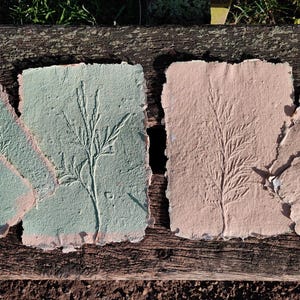 May include: Handmade paper sheets in shades of green and pink, each featuring an embossed botanical design. The edges are torn, giving a rustic, textured appearance. The paper is arranged on a weathered wooden surface.