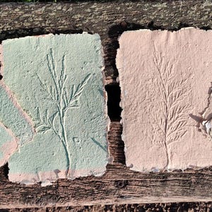 May include: Handmade paper with pressed botanical designs. The paper is in shades of pale green and pink, with a textured surface and deckled edges. The botanical imprints are of a fern-like plant.