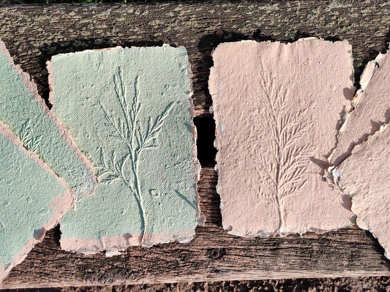May include: Handmade paper with pressed botanical designs. The paper is in shades of pale green and pink, with a textured surface and deckled edges. The botanical imprints are of a fern-like plant.