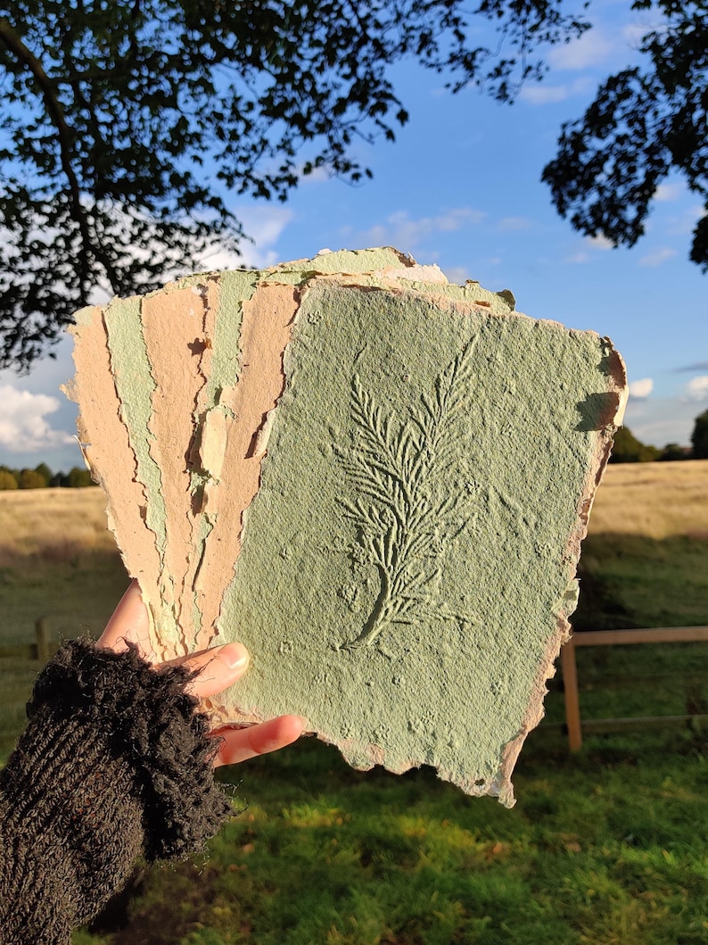 May include: Handmade paper sheets in shades of green and tan, with a textured surface. One sheet features an embossed botanical design. The paper has a rustic, organic aesthetic, perfect for art or stationery projects.