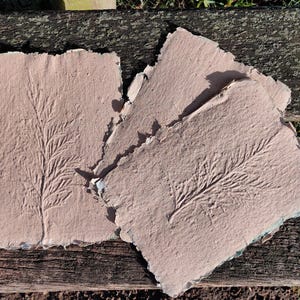 May include: Handmade paper sheets with embossed botanical designs. The sheets are a muted pink color with a rough, textured surface. The embossed design features a detailed fern-like pattern. The paper has a deckled edge.