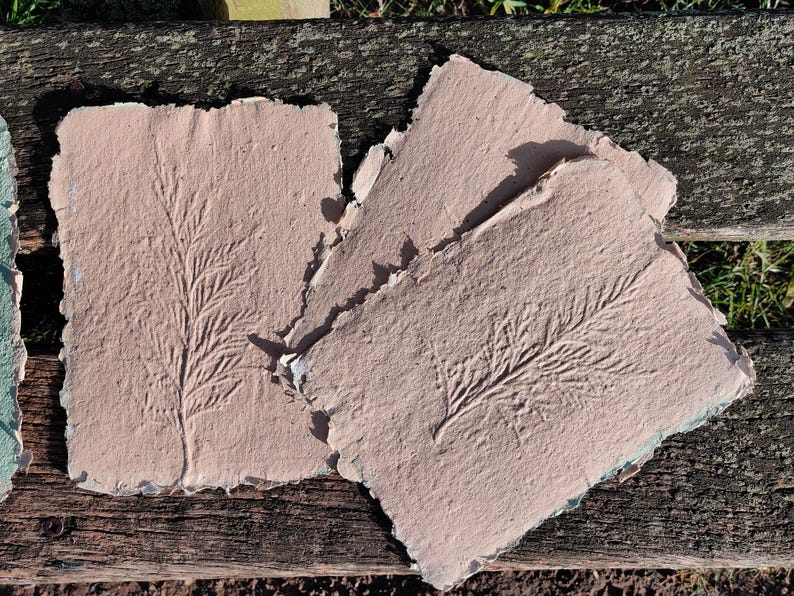 May include: Handmade paper sheets with embossed botanical designs. The sheets are a muted pink color with a rough, textured surface. The embossed design features a detailed fern-like pattern. The paper has a deckled edge.