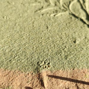 May include: Close-up of a textured, handmade paper with a floral and leaf design. The paper has a color gradient from light green to peach. A small, embossed flower is visible.