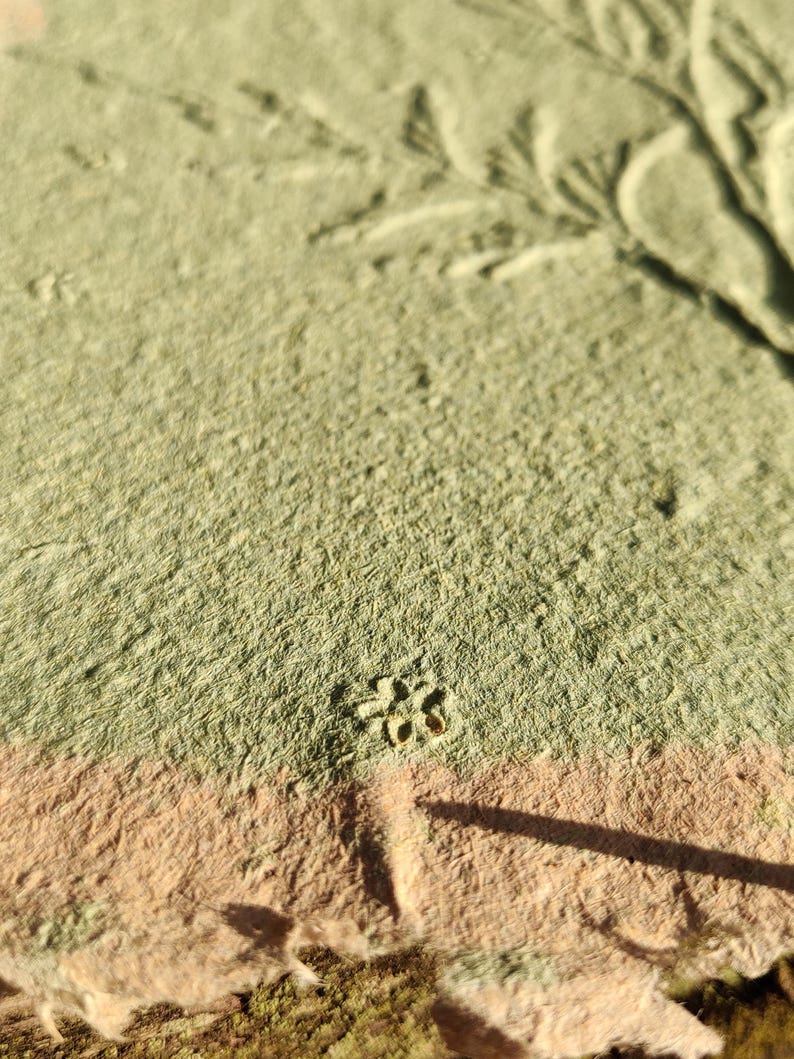 May include: Close-up of a textured, handmade paper with a floral and leaf design. The paper has a color gradient from light green to peach. A small, embossed flower is visible.