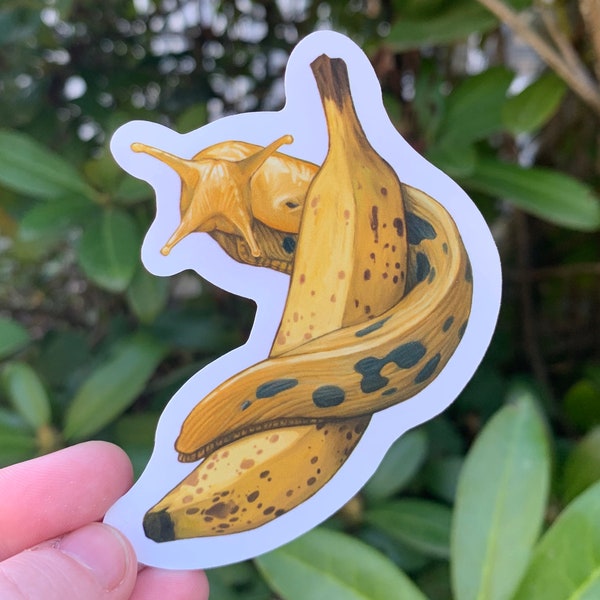 Banana Slug Sticker