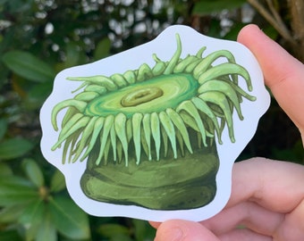 Sea Anemone Sticker