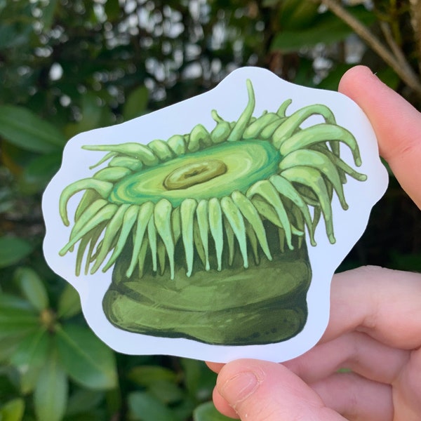 Sea Anemone Sticker