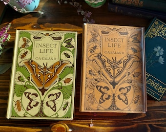 Insect Life by C.A Ealand 1921 ~ Original Dust Jacket ~ Super Rare ~ Vintage Nature Book