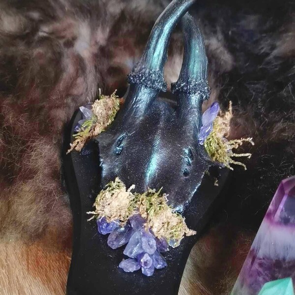 Geweih Schädel Knochen Witch Amethyst Jagdtrophäe