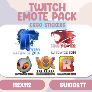 CSGO - CSGO2 STICKERS Emotes Twitch Discord PNGtuber Vtuber Emote for Stream