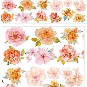 Vibrant Flowers Plant Glossy PET Tape/Journal Stickers/ Stationery Supplies/ Journaling PET tape/ Collage Stickers/ Scrapbooking Supplies
