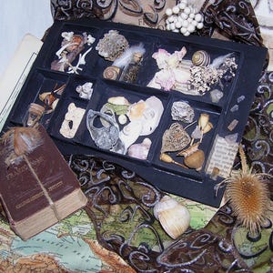 Op de afbeelding: Een zwarte, verdeelde lade gevuld met verschillende schelpen, kleine flesjes en gedroogde planten. Een vintage boek met de titel "FRANZÖGE" is met touw gebonden. De opstelling ligt op een kaart en decoratieve stof.