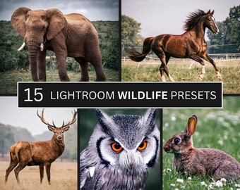 15 Adobe Lightroom Wildlife Presets