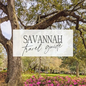 Savannah Travel Guide