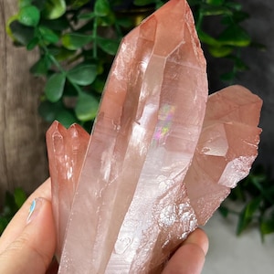 Rare Pink Lemurian Crystal Cluster with Rainbows from Serra do Cabal, Minas Gerais, Brazil: LGC Large Cabinet, 534g/6in