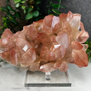 Rare Pink Lemurian Crystal Cluster from Diamantina, Minas Gerais, Brazil: XLC Extra Large Cabinet, 1116g/7in
