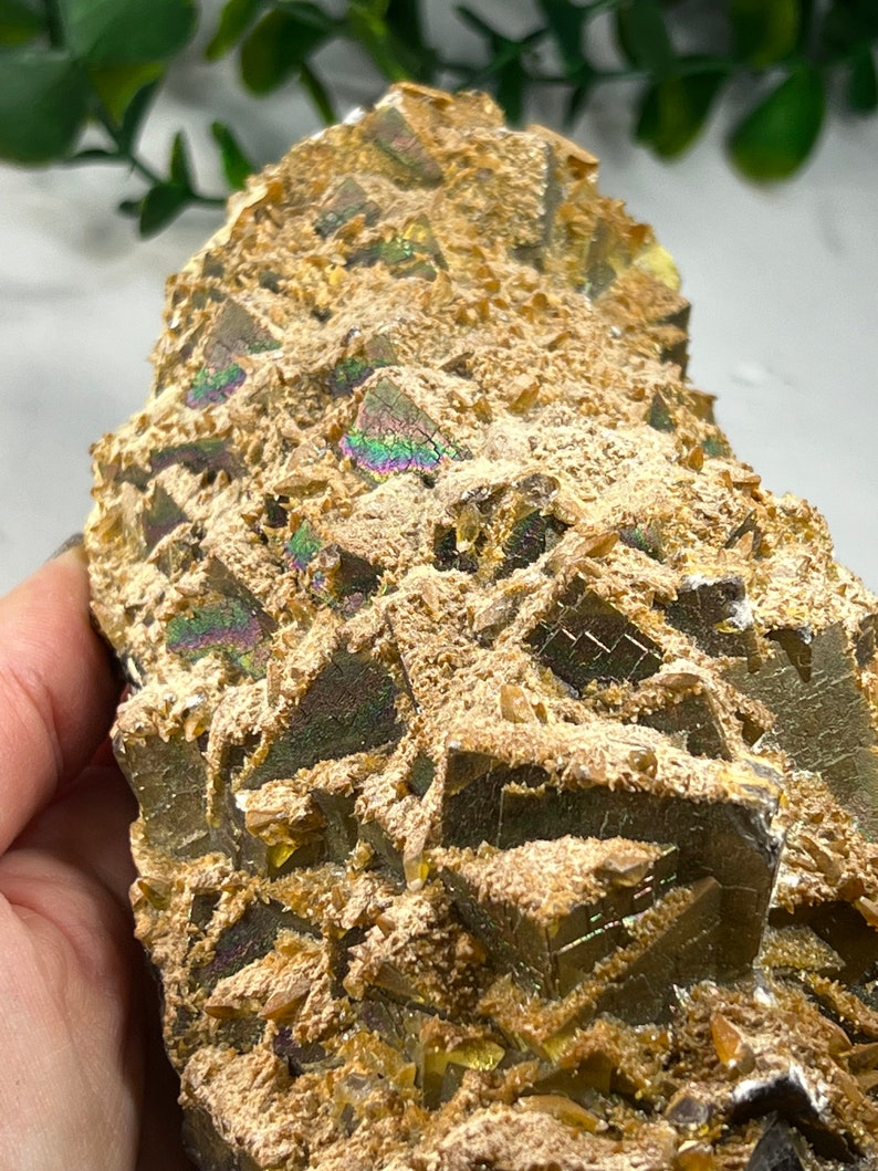 May include: A cluster of iridescent pyrite crystals with a golden yellow hue. The crystals are clustered together in a rough, natural formation.