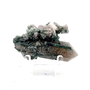 Stunning Green Tourmaline on DT Quartz from Minas Gerais, Brazil: SMC Small Cabinet Size 2.2in/31g