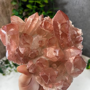 Pink Lemurian Cluster from Diamantina, Minas Gerais, Brazil: XLC Extra Large Cabinet Size 6in/1018g