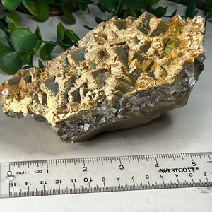May include: A cluster of iridescent, gold-colored crystals with a rough, textured surface. The crystals are approximately 3 inches in length.