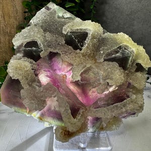 Green and Purple Octahedral Fluorite w/ White Fluorite Lace from Fujian, China: XLC Extra Large  Cabinet Size 7in/1469g