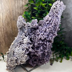 May include: A large purple agate geode with a unique, branching, coral-like formation. The geode is displayed on a clear stand.
