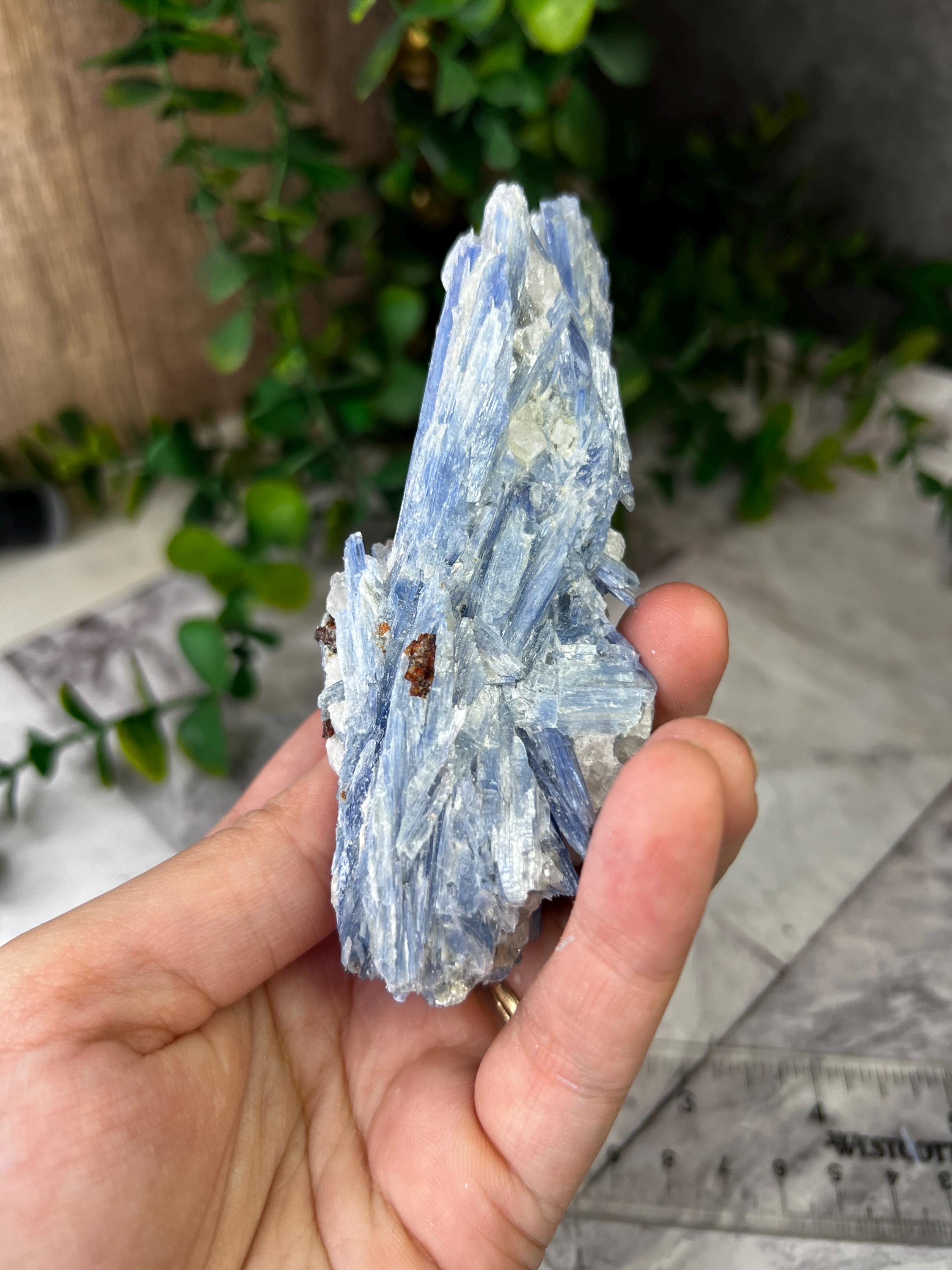 ブラジル、ミナスジェライス産のブルーカイヤナイト、クォーツ