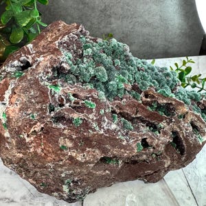 Drusen Quarz auf Malachit und Dolomit mit Roter Dolomit-Matrix aus Likasi, Kongo: XLC Extra Large Cabochon Größe 1802g