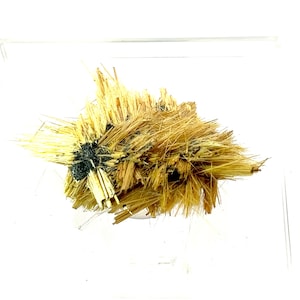 Golden Rutile on Hematite from Brazil, mounted, MIN Miniature Size