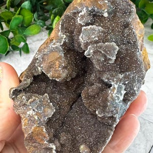 May include: A rough-hewn, natural geode with a dark brown interior and a crystalline, speckled surface. The outer layer is a mix of brown and gold tones, creating a textured appearance. The geode has a hollowed-out center.