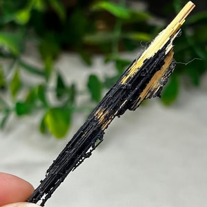 Golden Rutile on Hematite from Brazil, SMC Small Cabinet 3in.