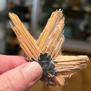 Golden Rutile on Hematite from Brazil, SMC Small Cabinet 2.75in.
