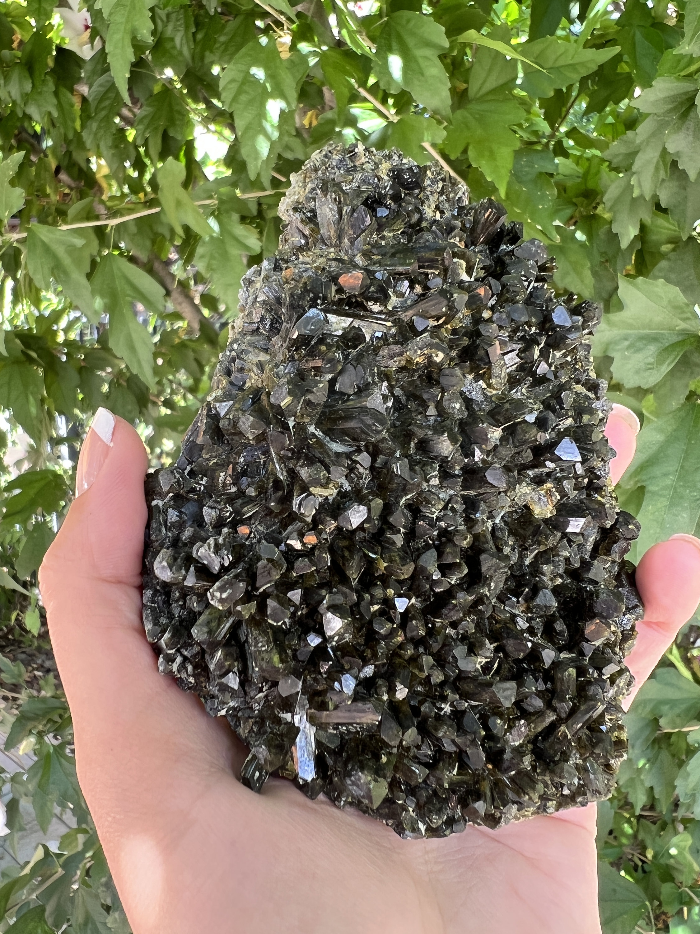 Gorgeous Epidote From Cañete, Lima, Peru Lgc Large Cabinet Size, 5.25In/607G