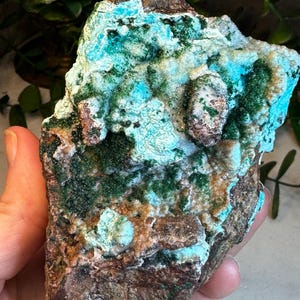 Druzy Dolomit, Malachit, Kupfer und Chrysokoll aus Likasi, Kongo: LGC Großes Kabinett, Größe 4 in/490 g