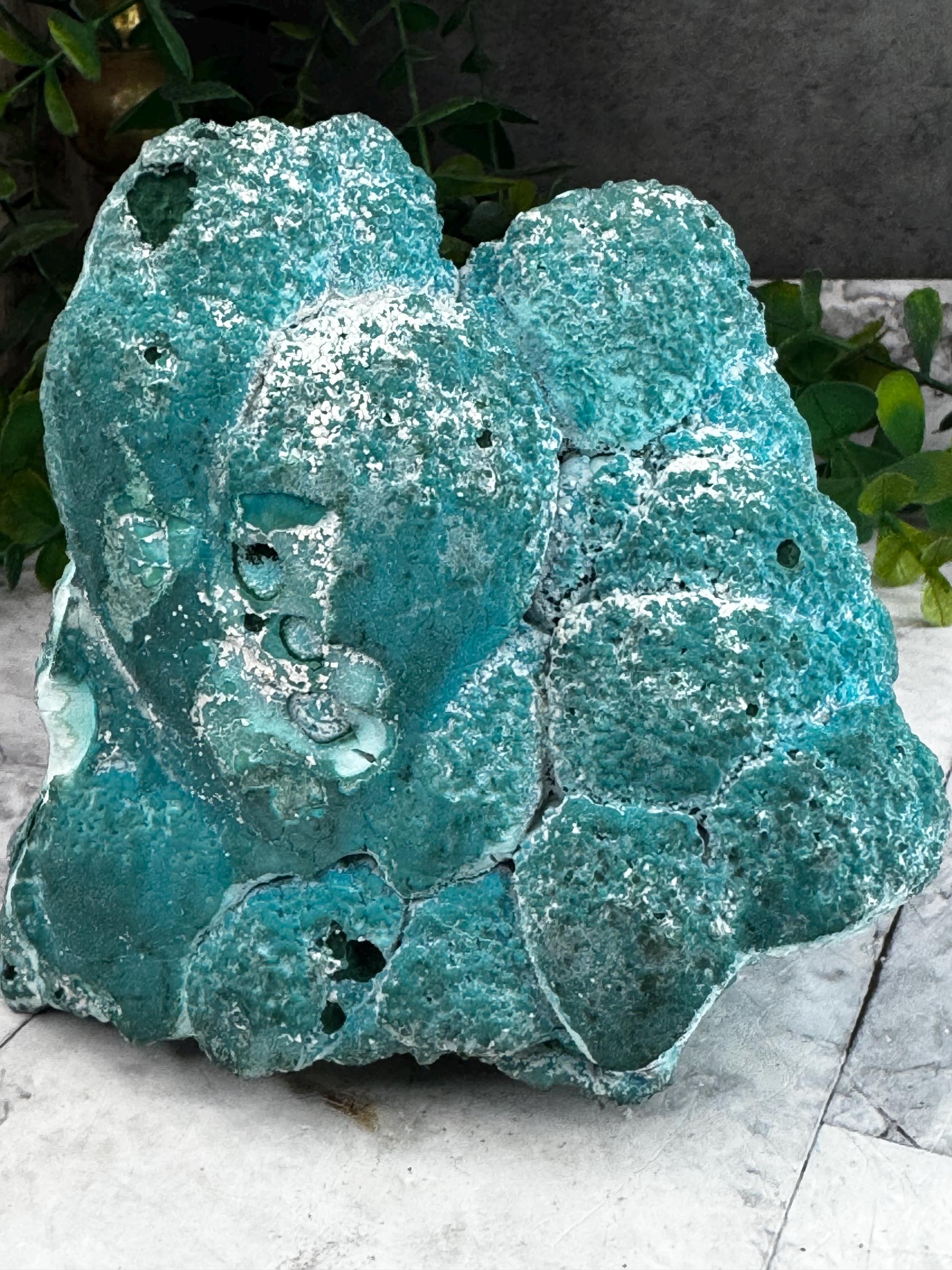 Chrysocolla on Malachite Matrix From Kulukuluku, Congo: LGC Large