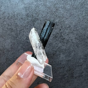 May include: A black and clear crystal cluster on a clear acrylic stand. The crystals are pointed and have a natural, rough texture.