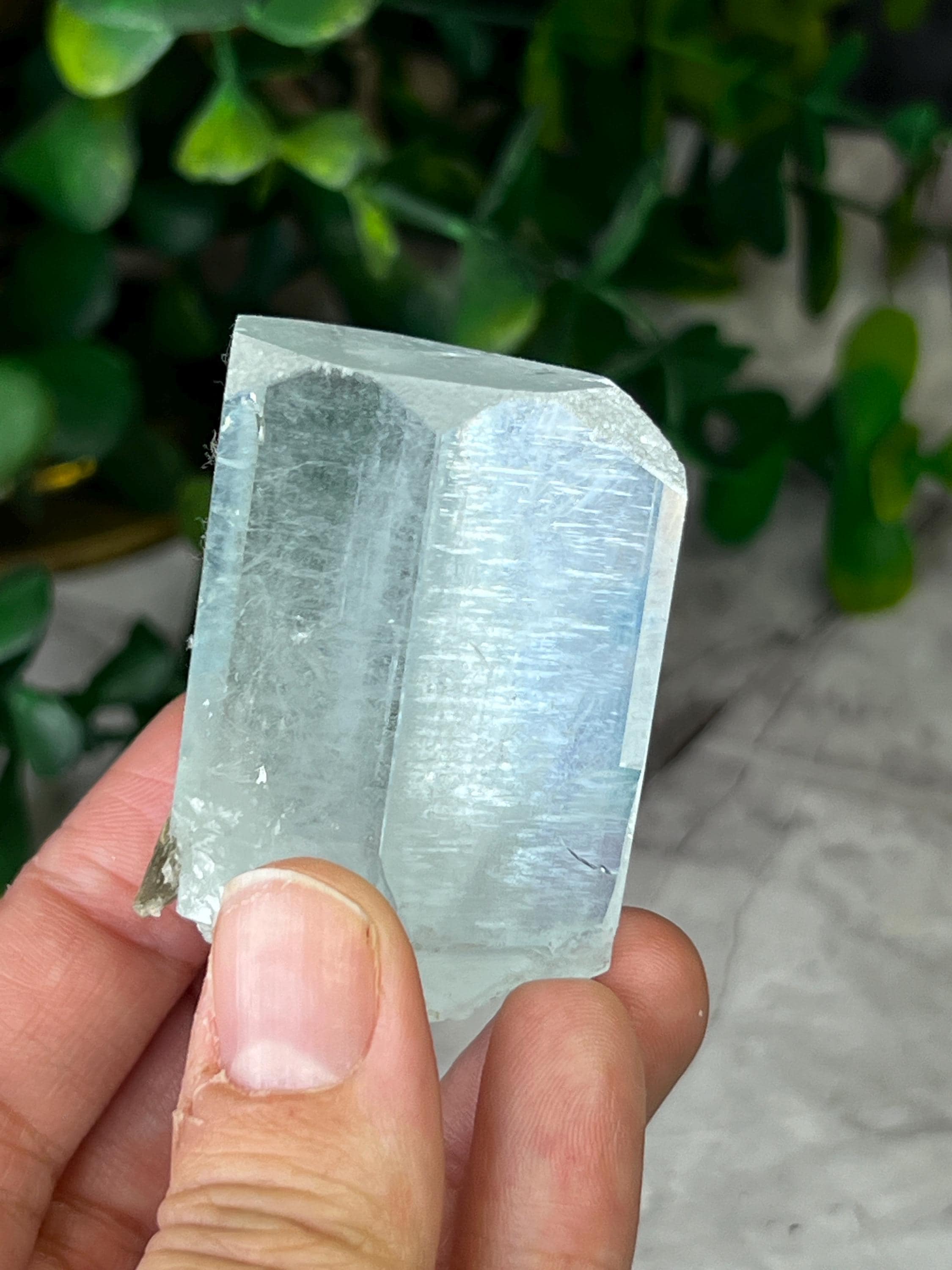 パキスタン、スカルドゥ、シガール渓谷産アクアマリン：最小ミニチュア