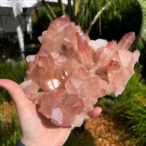 Rare Pink Lemurian Cluster from Diamantina, Minas Gerais, Brazil: XLC Extra Large Cabinet Size 8.5in/2022g