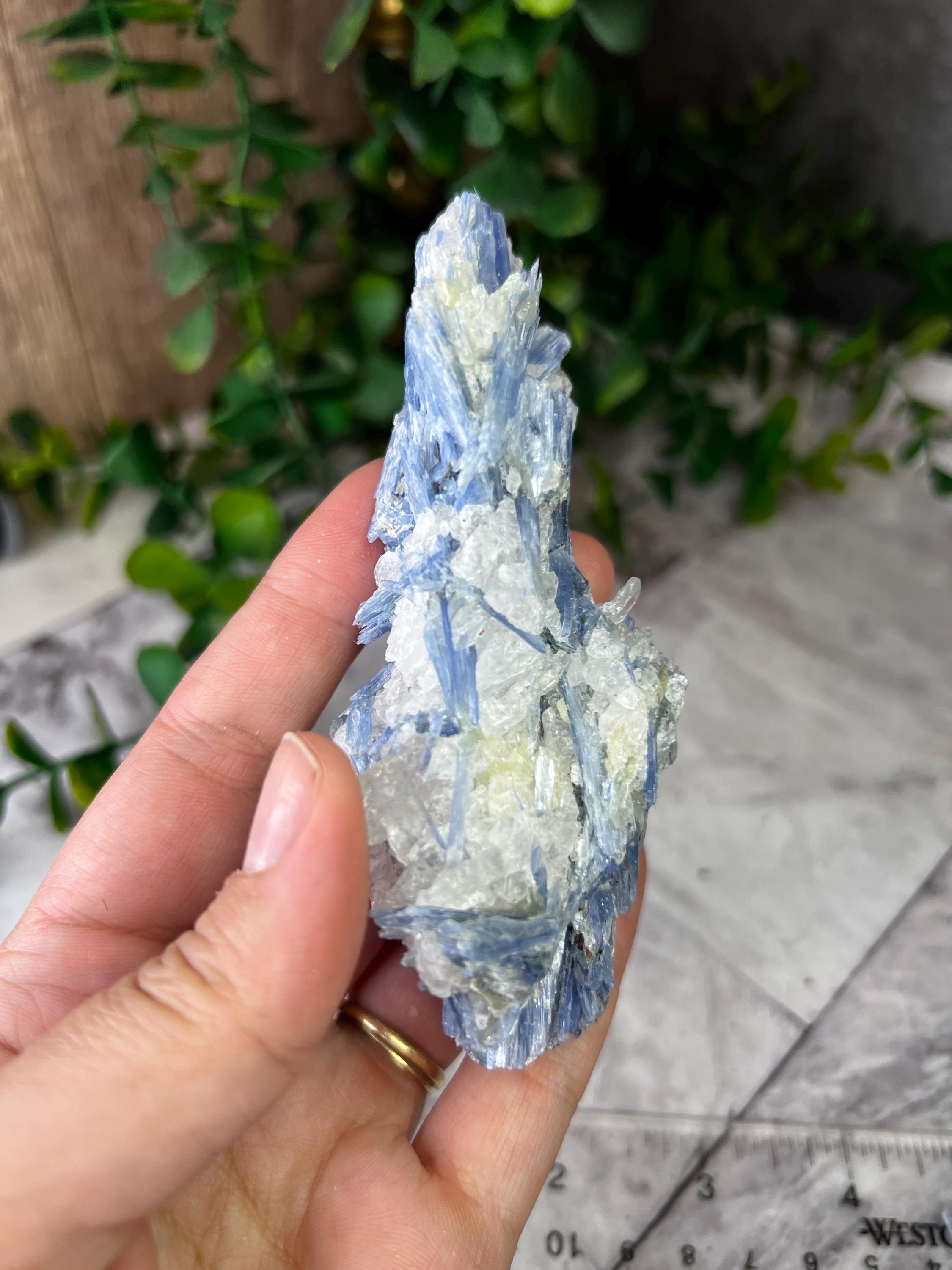 ブラジル、ミナスジェライス産のブルーカイヤナイト、クォーツ