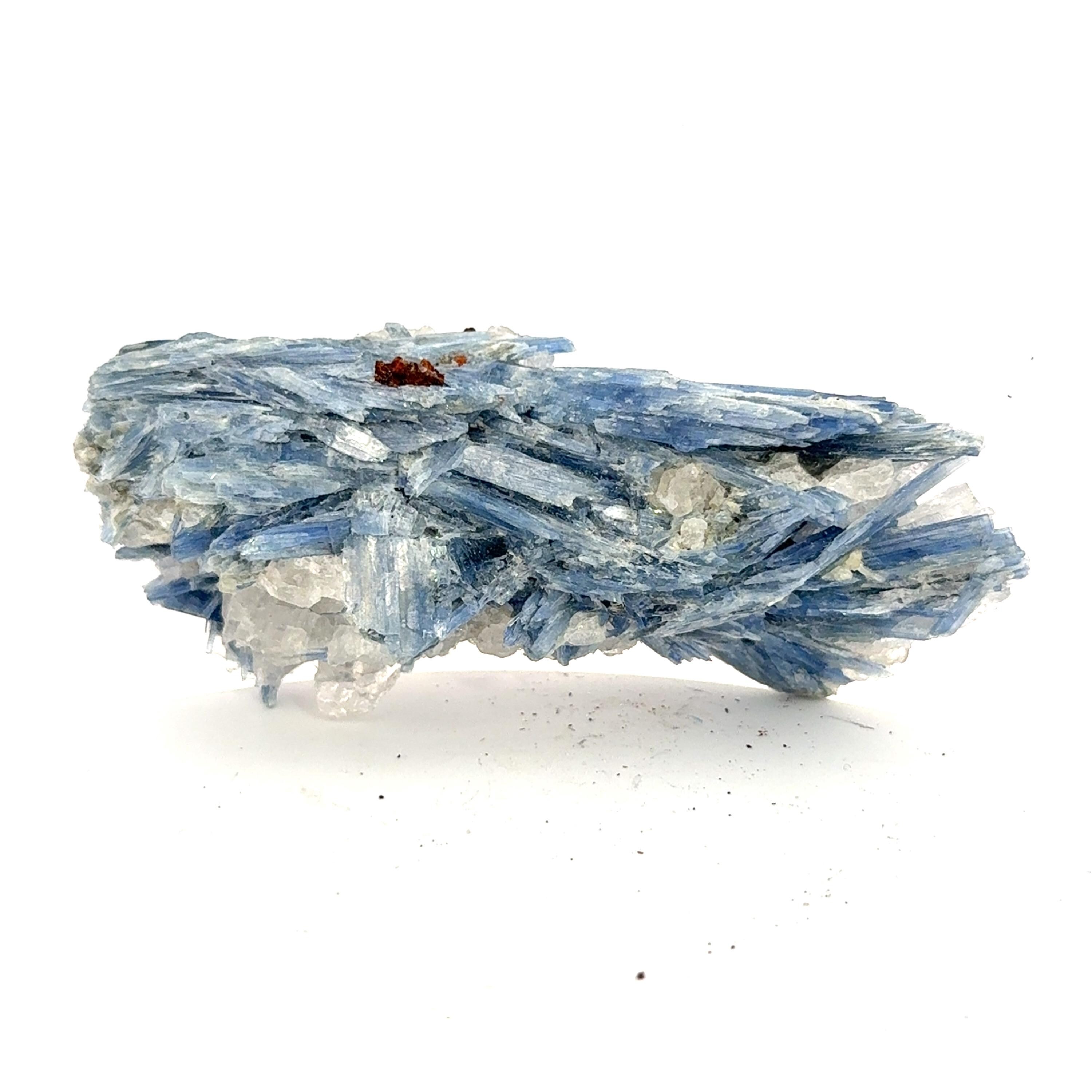 ブラジル、ミナスジェライス産のブルーカイヤナイト、クォーツ