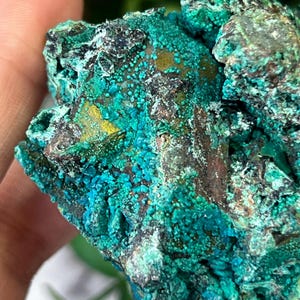 Chrysocolla, Malachite, Limonite and Tenorite on Quartz from Tentadora Mine, Peru: SMC Small Cabinet Size 2.75in/132g
